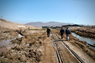 WhatsApp Image 2025-08-28 at 13.07.55.jpeg